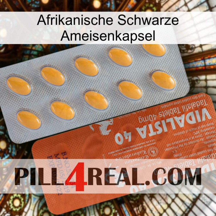 Africa Black Ant Capsule 43